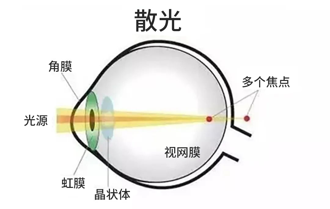 微信图片_2026-04-10_175409_456
